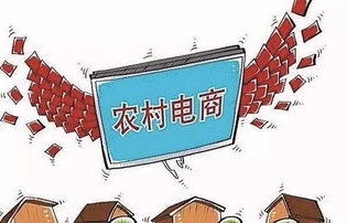 十大坑人专业电子商务