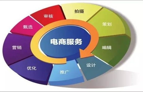 电子商务专业和信息技术