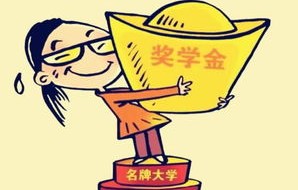 电子商务专业会学动漫吗