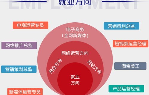 电子商务专业研究生就业
