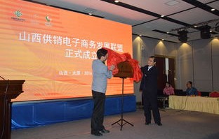 山西电子商务专业合作社