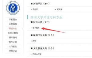 电子商务专业分类目录