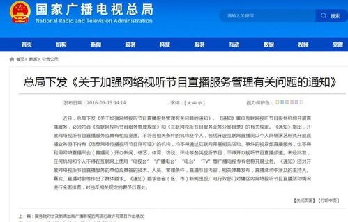 电子商务网络主播专业