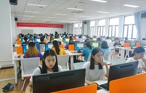 电子商务专业能考税务局