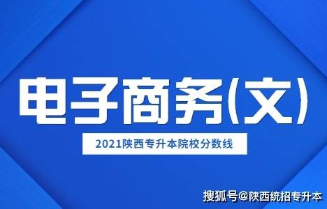 电子商务可升的本科专业