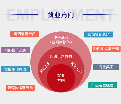 电子商务这个专业的前途