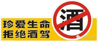 豪车车主酒驾被代驾司机举报，五元之争背后的法律觉醒