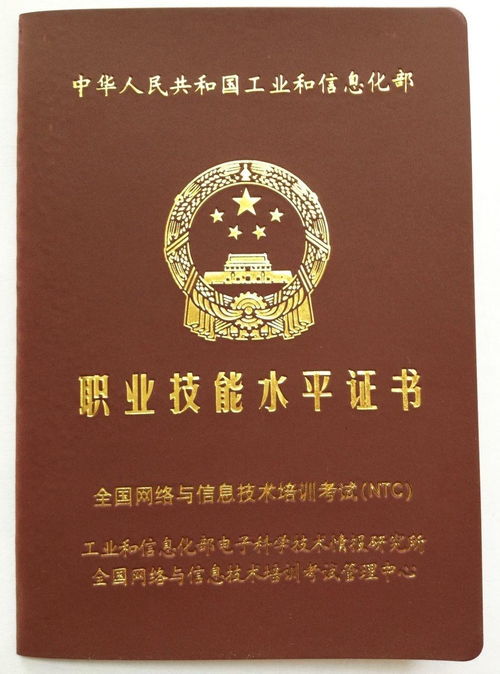 电子商务的专业证叫什么