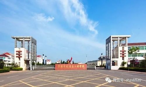 安徽省电子商务专业大学