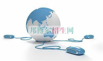 电子商务专业课占分多少
